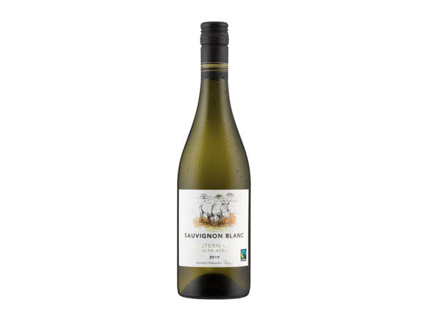 South Africa Sauvignon Blanc