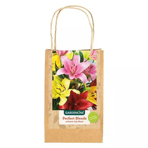 Sun or Shade Lovers Bulbs - Assorted Varieties