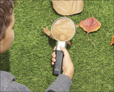 Magnifying Glass
