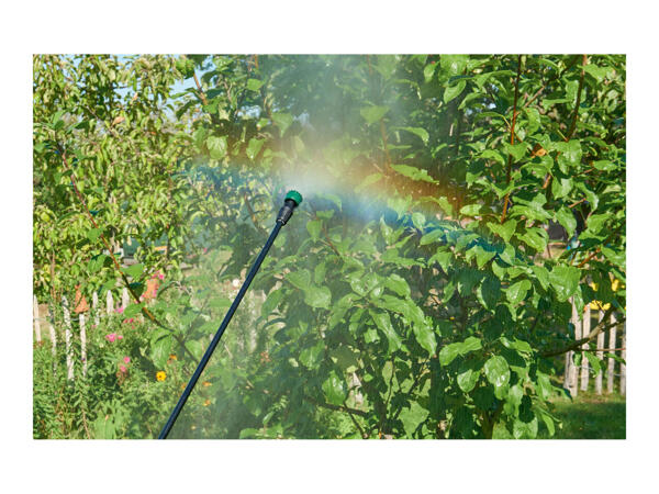 Parkside 16L Backpack Pressure Sprayer