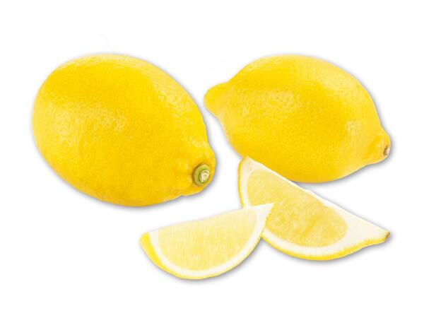 Økologiske citroner