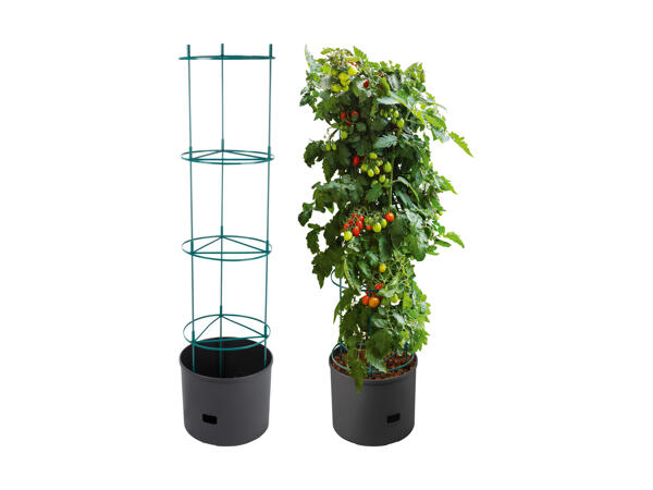 Pot pour cultiver les tomates