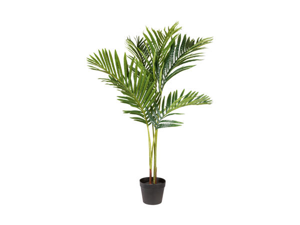 LIVARNO HOME(R) Kunstig plante