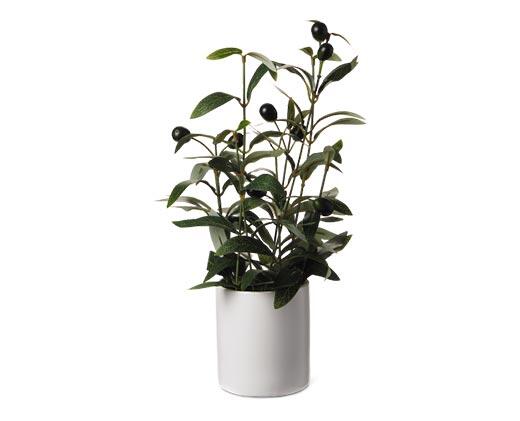 Huntington Home 
 Faux Plant