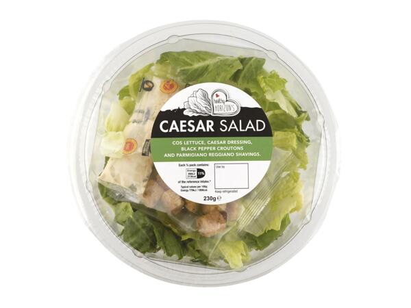 Healthy Horizons Salad Bowls