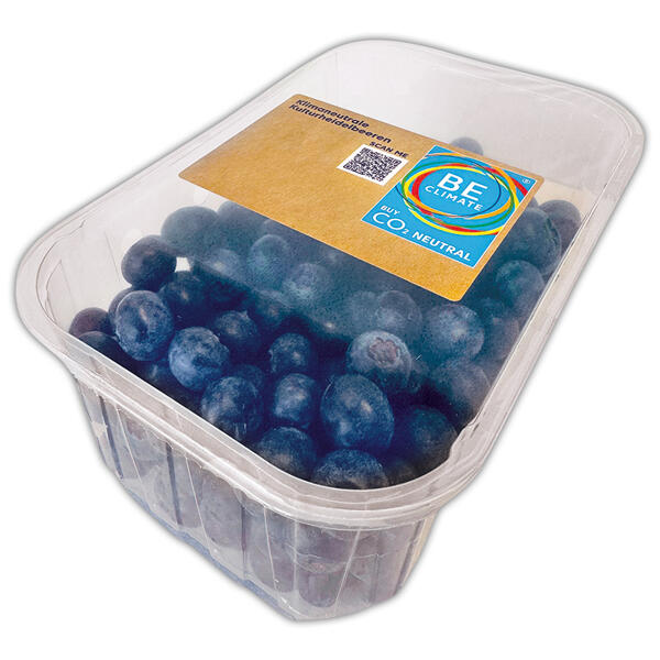 Premium Heidelbeeren
