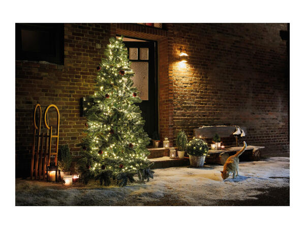 Melinera 1000 Multifunctional LED Lights