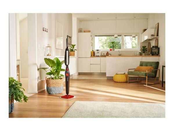 Vileda Steam Mop