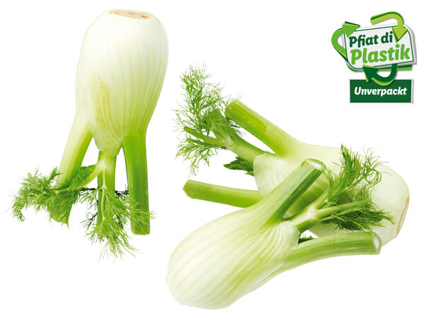 Fenchel