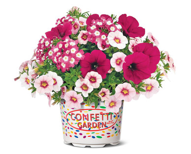 Confetti Flower Pot