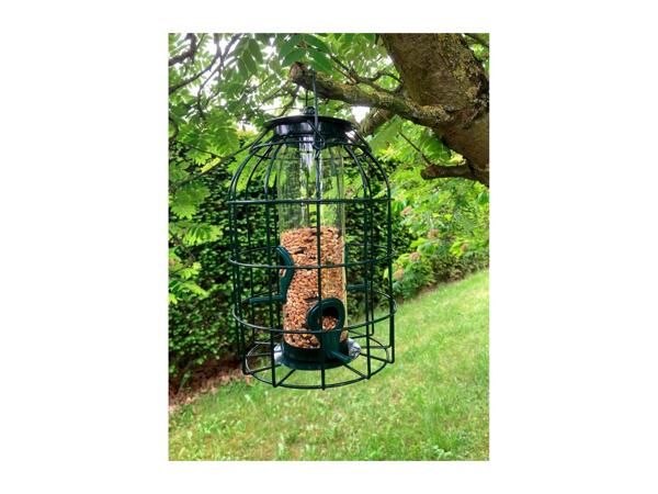 Oakdale Squirrel-Resistant Bird Feeders
