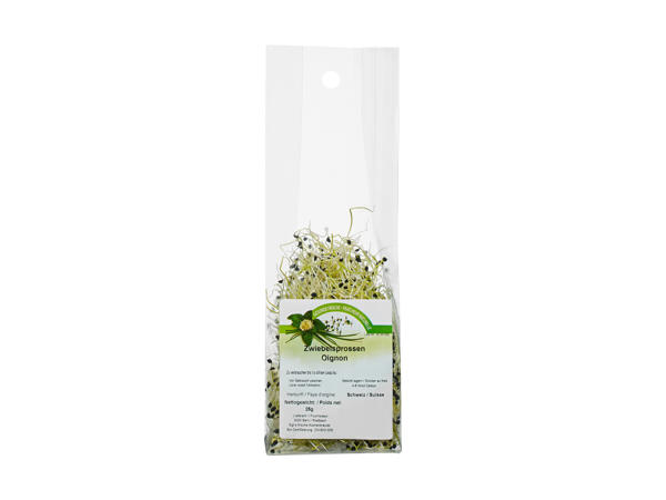Pousses d'oignon bio