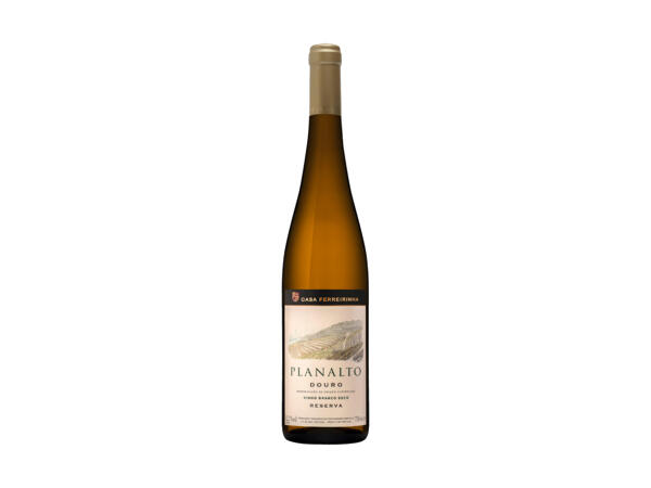 Planalto Douro 2020