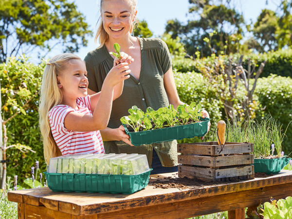 Propagator Set