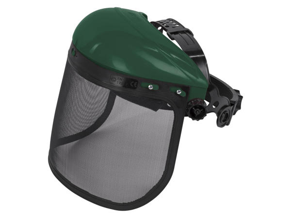 Forestry Helmet