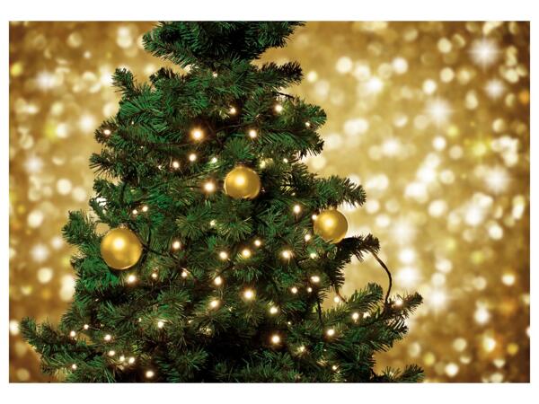 50 LED fairy lights