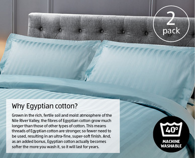 Egyptian Cotton Pillowcase Pair