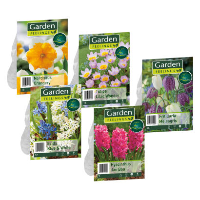 Blomsterløg