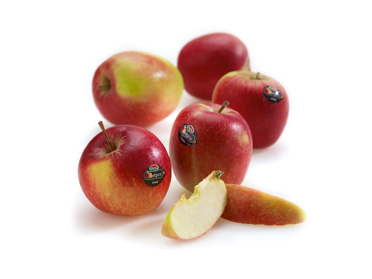 Belgica appel