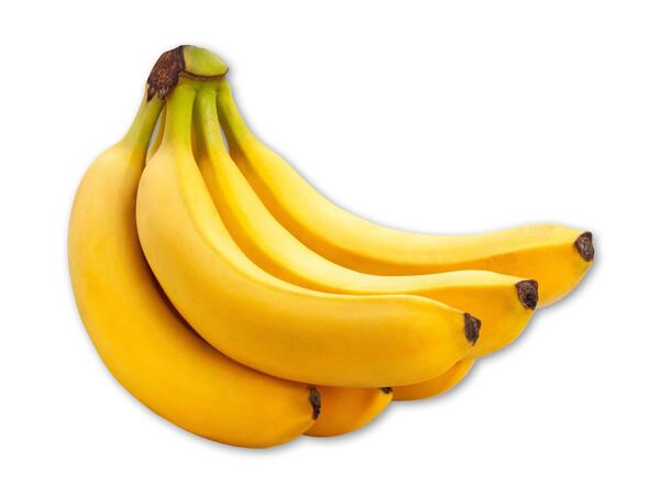 Rainforestbanan