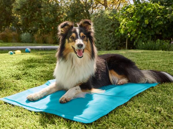 Cooling Mat