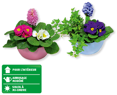 Arrangement printanier