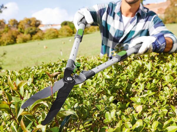 Extendable Hedge Shears