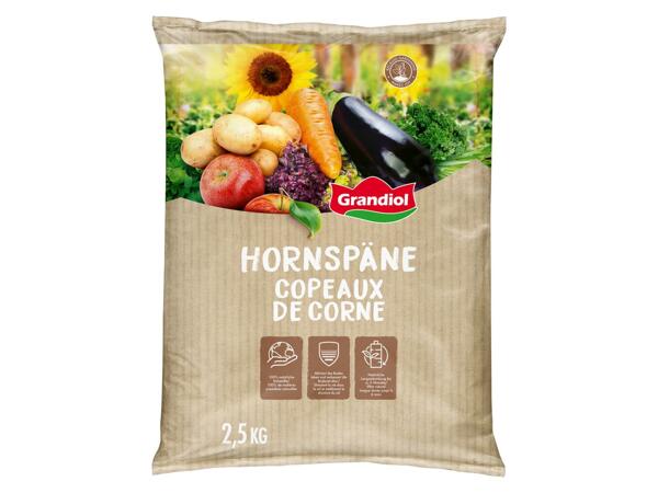 Hornspäne