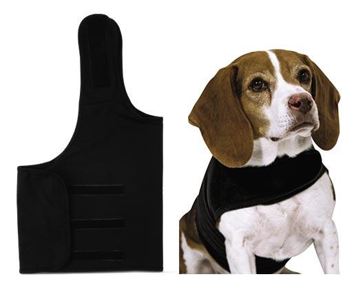Heart to Tail 
 Pet Anxiety Jacket