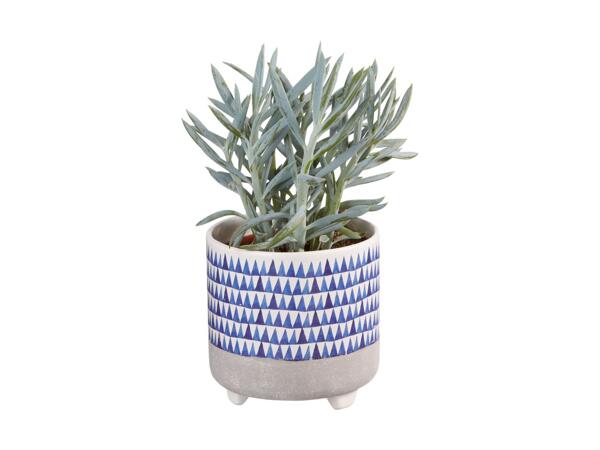 Plante i keramik