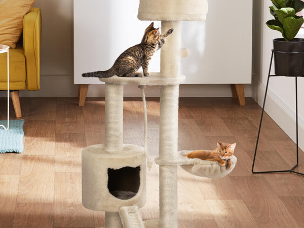 Arbre à chat
