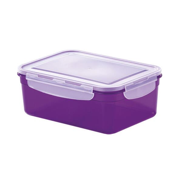 Boîtes de conservation, 22 pièces