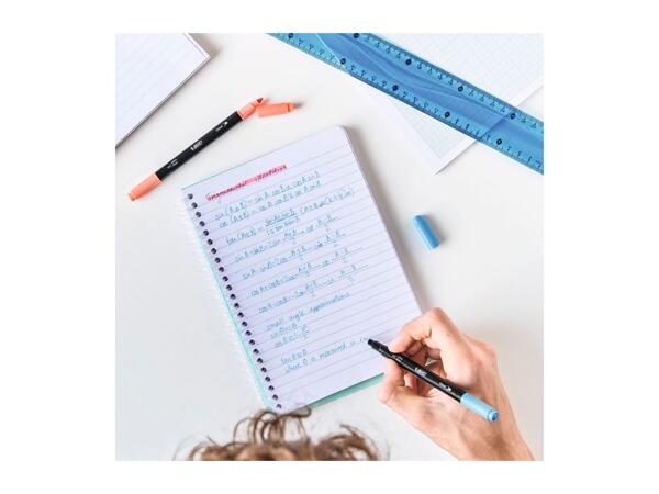 BIC Pastel Dual Tip Felt Pens - 6 pack