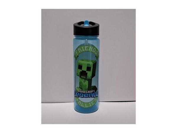Minecraft 600ml Character Water Bottle