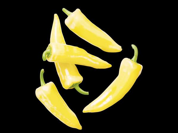 Paprika bílá