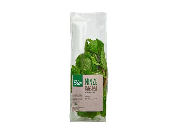 Menthe bio