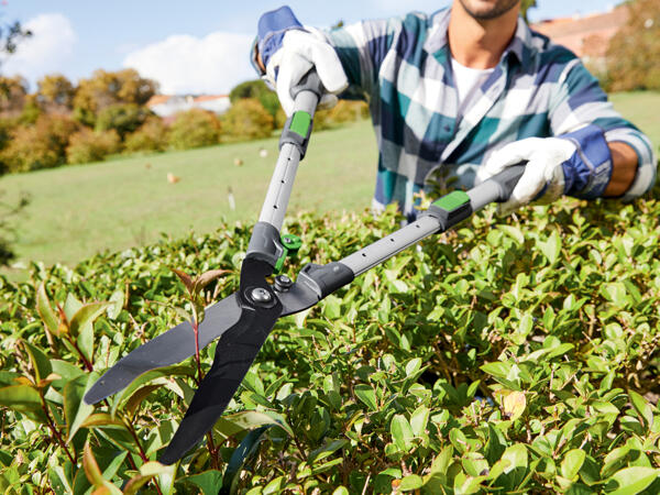 Extendable Hedge Shears
