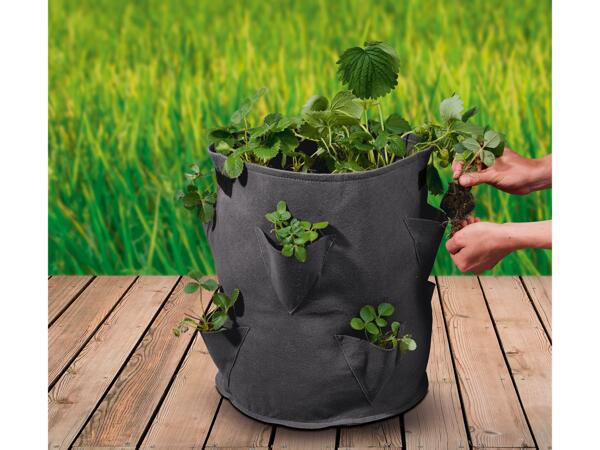 Grow Bags Set