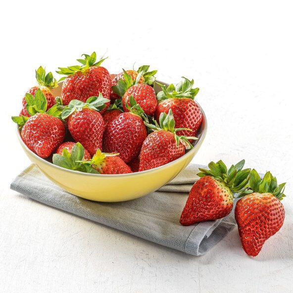 Erdbeeren