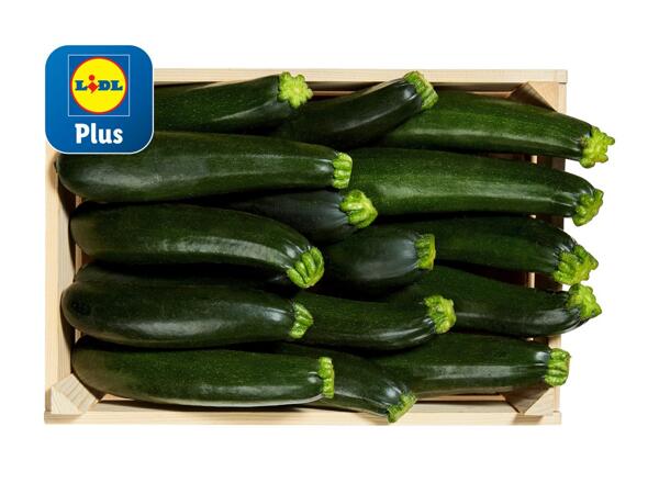 Courgette bio