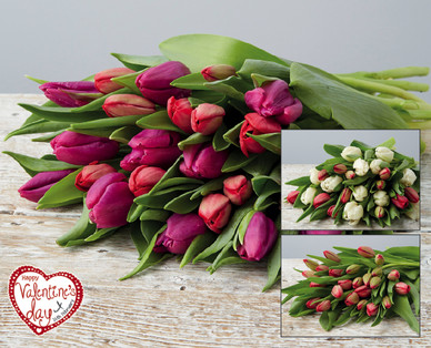Valentine's Tulips