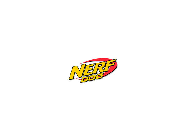 Nerf Ball Blaster
