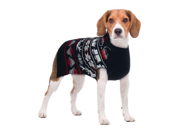 Zoofari Dog Christmas Jumper