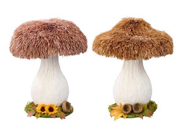 Livarno Home Decorative Mushrooms