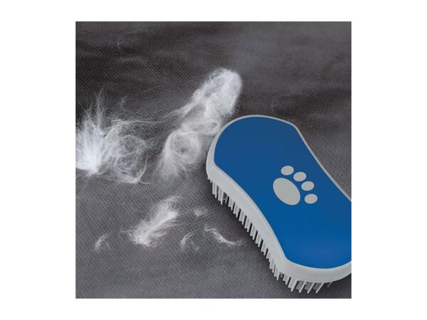 Zoofari Pet Accessories
