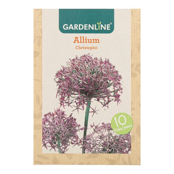 GARDENLINE(R) 				Bulbes à fleurs ail d'ornement