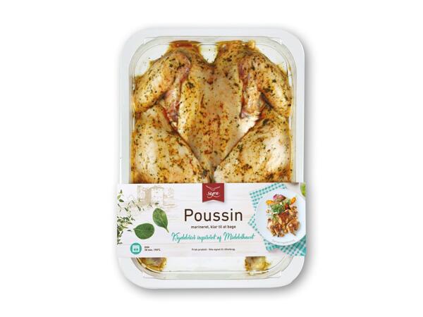 Poussin