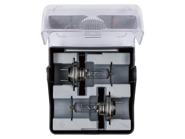Car Headlight Bulbs