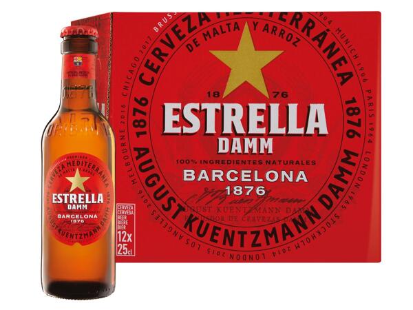 Bier