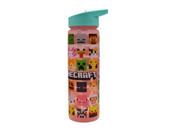 Zak 600ml Character Water Bottle